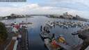 ./images/victoria/wharf/20250831/wharf20250831_084511M.jpg