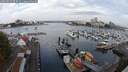 ./images/victoria/wharf/20250831/wharf20250831_093012M.jpg