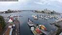 ./images/victoria/wharf/20250831/wharf20250831_100011M.jpg