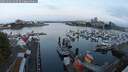 ./images/victoria/wharf/20250901/wharf20250901_063510M.jpg