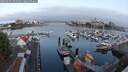 ./images/victoria/wharf/20250901/wharf20250901_071009M.jpg