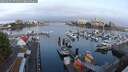 ./images/victoria/wharf/20250901/wharf20250901_071511M.jpg