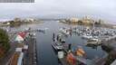 ./images/victoria/wharf/20250901/wharf20250901_072510M.jpg