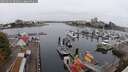 ./images/victoria/wharf/20250901/wharf20250901_083012M.jpg