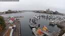 ./images/victoria/wharf/20250901/wharf20250901_091510M.jpg