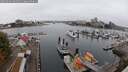 ./images/victoria/wharf/20250901/wharf20250901_094510M.jpg