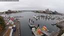 ./images/victoria/wharf/20250901/wharf20250901_101510M.jpg