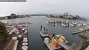./images/victoria/wharf/20250901/wharf20250901_125510M.jpg