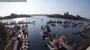 ./images/victoria/wharf/20250901/wharf20250901_173510M.jpg