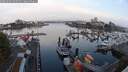 ./images/victoria/wharf/20250902/wharf20250902_065012M.jpg