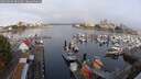 ./images/victoria/wharf/20250902/wharf20250902_081009M.jpg