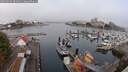 ./images/victoria/wharf/20250902/wharf20250902_084009M.jpg