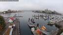 ./images/victoria/wharf/20250902/wharf20250902_085012M.jpg