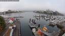 ./images/victoria/wharf/20250902/wharf20250902_085510M.jpg