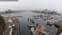 ./images/victoria/wharf/20250902/wharf20250902_090510M.jpg