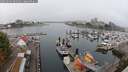 ./images/victoria/wharf/20250902/wharf20250902_091010M.jpg