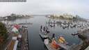 ./images/victoria/wharf/20250902/wharf20250902_093510M.jpg