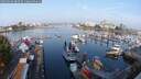 ./images/victoria/wharf/20250903/wharf20250903_082509M.jpg