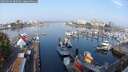 ./images/victoria/wharf/20250903/wharf20250903_085009M.jpg