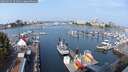 ./images/victoria/wharf/20250903/wharf20250903_104011M.jpg