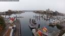 ./images/victoria/wharf/20250904/wharf20250904_070011M.jpg