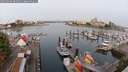 ./images/victoria/wharf/20250904/wharf20250904_084511M.jpg