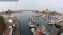 ./images/victoria/wharf/20250904/wharf20250904_092511M.jpg