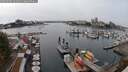 ./images/victoria/wharf/20250904/wharf20250904_141010M.jpg