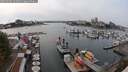 ./images/victoria/wharf/20250904/wharf20250904_143510M.jpg