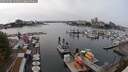 ./images/victoria/wharf/20250904/wharf20250904_144012M.jpg