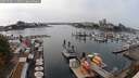 ./images/victoria/wharf/20250904/wharf20250904_145011M.jpg
