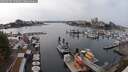 ./images/victoria/wharf/20250904/wharf20250904_150012M.jpg