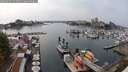 ./images/victoria/wharf/20250904/wharf20250904_151011M.jpg