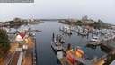 ./images/victoria/wharf/20250905/wharf20250905_062511M.jpg