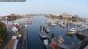 ./images/victoria/wharf/20250905/wharf20250905_082011M.jpg