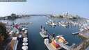 ./images/victoria/wharf/20250905/wharf20250905_123010M.jpg
