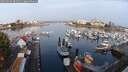 ./images/victoria/wharf/20250906/wharf20250906_081011M.jpg