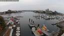 ./images/victoria/wharf/20250906/wharf20250906_141011M.jpg