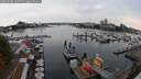 ./images/victoria/wharf/20250906/wharf20250906_165511M.jpg