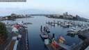 ./images/victoria/wharf/20250907/wharf20250907_065010M.jpg