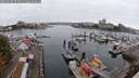 ./images/victoria/wharf/20250908/wharf20250908_073010M.jpg