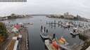./images/victoria/wharf/20250908/wharf20250908_090507M.jpg