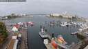./images/victoria/wharf/20250908/wharf20250908_101511M.jpg