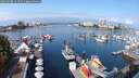 ./images/victoria/wharf/20250908/wharf20250908_111511M.jpg