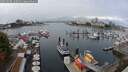 ./images/victoria/wharf/20250908/wharf20250908_120510M.jpg