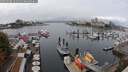 ./images/victoria/wharf/20250908/wharf20250908_121512M.jpg
