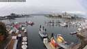 ./images/victoria/wharf/20250908/wharf20250908_122510M.jpg