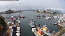 ./images/victoria/wharf/20250908/wharf20250908_123011M.jpg