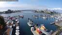 ./images/victoria/wharf/20250908/wharf20250908_131010M.jpg