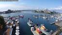 ./images/victoria/wharf/20250908/wharf20250908_132010M.jpg